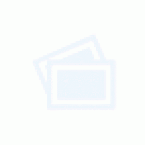 標準鋼結(jié)構(gòu)廠房 國家發(fā)展新高地 園區(qū)