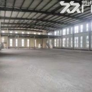 火（可租可售）標(biāo)準(zhǔn)廠房特惠出售 配套酸洗Q