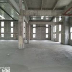 郭總廠房(真實(shí)房源)出售南通獨(dú)棟標(biāo)準(zhǔn)廠房 100